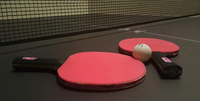 Ping Pong Table, Tennis Table Paddle Ball