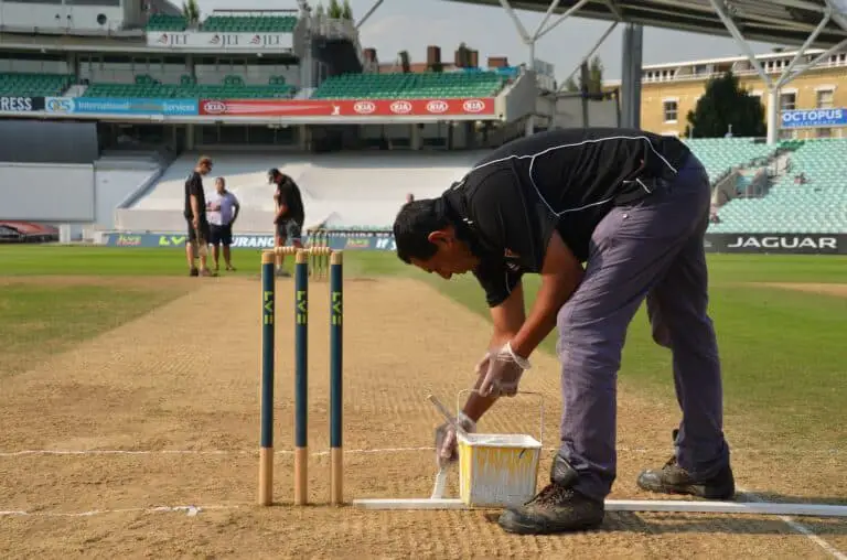Cricket Pitch Paint